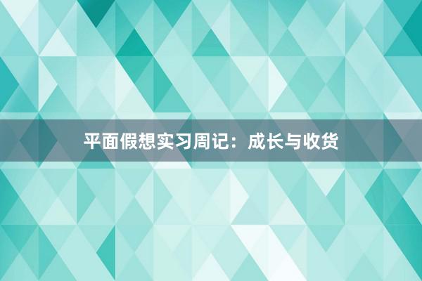 平面假想实习周记：成长与收货