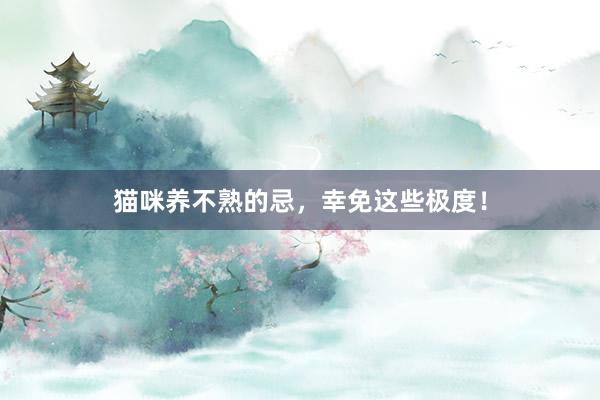 猫咪养不熟的忌，幸免这些极度！