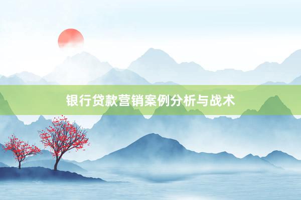 银行贷款营销案例分析与战术